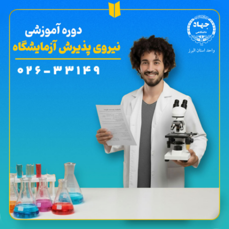 دوره تخصصی Next.js